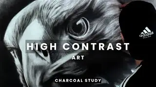 Charcoal Eagle Study | High Contrast Drawing Techniques #CharcoalArt #EagleDrawing #CharcoalStudy