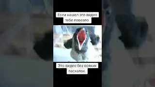 сохрани, не пожелаешь
