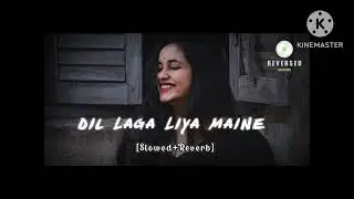 Dil lga liya Mene tumse pyar karke 😍 lo-fi music [ slowed + reverb ] 