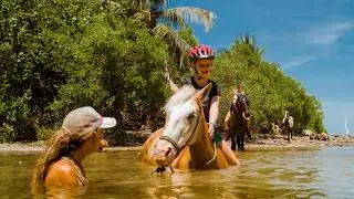 Journeys of The Herd | A Family Retreat's Heartfelt Reflection on Horses and Freedom 🐴💖