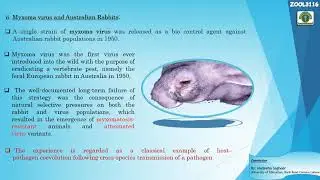 Lecture # 30 Topic Coevolution Part I (Madeeha Sagheer)