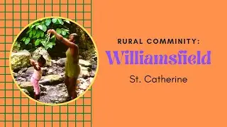 Williamsfield St. Catherine||Places in Jamaica🇯🇲