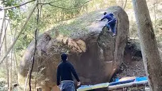 豊田  トンボ（e）