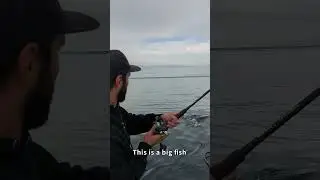 King salmon from a pontoon