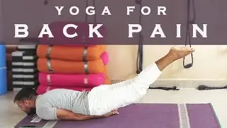 Yoga For Back Pain | Back Strength | Yoga Basics | Yoga with Azad