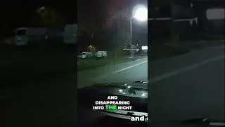Police Chase Ends In A Tree Crash! Driver Identified! #shorts
