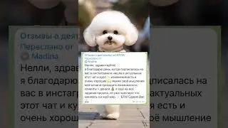 Отзывы на закрытый клуб "Познай себя"