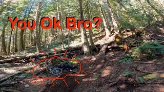 WTF??? Hardtails On 