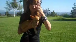 Bella Thorne talks with Dream Magazine