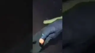 скоро в школу