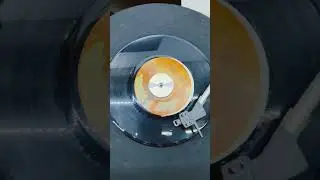 Suade AFRICA Marty paich and Jeff porcaro #reggaecover #toto #reggae #vinyloftoday #vinyl