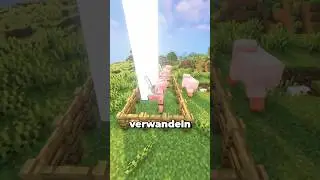 Minecraft Mobs die sich VERWANDELN k&ouml;nnen&hellip;?! #minecraft #maggus #holidayswithyoutube