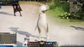 Lost Ark - [ Meowdy Set ] Awesome Meowdy Mask + Cute Meowdy Body + Sunset Mokoboard !