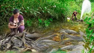 Top unique fishing videos, catching wild fish with high-capacity pumps catching fish with bare hands