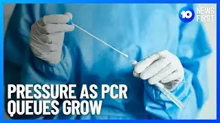 COVID-19 PCR Testing Pressure From Travel Requirements | 10 News First