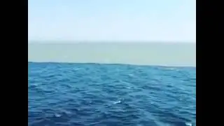 WTF place in world