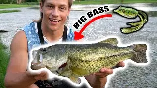 Frog Fishing in THICK SCUM for BIG BASS!! (Crazy Blowups)