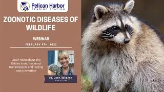 Zoonotic Diseases of Wildlife Webinar 02.09.22