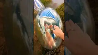 ✨TeamLab Borderless Tokyo✨ #teamlab #borderless #Tokyo #art #installation #museum #Japan #adventure