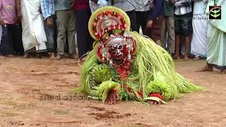 പയ്യന്നൂർ:  തുലാപ്പത്തിന് കെട്ടിയാടിയ കരിഞ്ചാമുണ്ഡി തെയ്യം. വടക്കേ മലബാറിന്റെ ദൃശ്യ വൈവിധ്യങ്ങൾ
