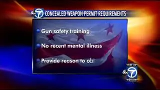 D.C. leaders propose concealed handgun permits