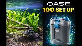 Setting Up the OASE BioMaster Thermo 100 on a Planted Tank | Full Install