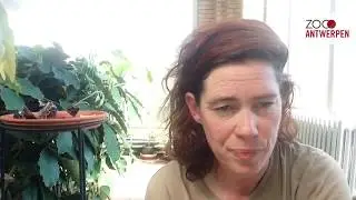 #ZOOsamen - Vlog 22: Even op fladderend bezoek in de Vlindertuin in ZOO Antwerpen