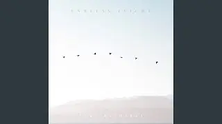 Endless Flight
