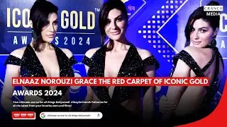 Elnaaz Norouzi Grace The Red Carpet Of Iconic Gold Awards 2024 | Cranch Media