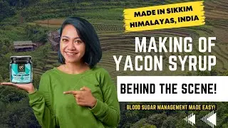 Yacon Syrup | Sikkim, India | Prebiotic | Blood Sugar Management | Gut Health