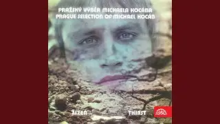 Čerpadlo