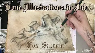 Fox Sacrum Bone Drawing in Ink. Bone Illustrations in Ink. Dark Art. Fineliners and Graphite