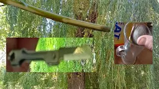 #medecine, home remedies, #willow , bark , flu , cure, harvesting , use,  2