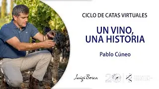 #CatAAS Virtuales | Un vino, una historia con Pablo Cúneo de Luigi Bosca