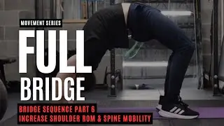 BRIDGE SEQUENCE PART 6: Full Bridge