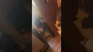 The Rescue of Lucy the Snake
