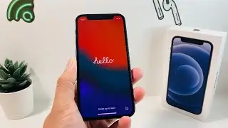 iOS 15 OFFICIAL on iPhone 12 Mini (Review)