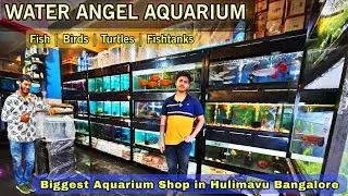 Water Angel Aquarium Shop Bengalore -Big Epic Shop Tour