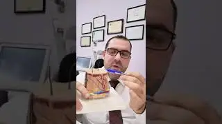 الدكتور عمرو الحمصي يشرح بالتفصيل عن الفراكشنال ليزر وعن تجويف العيون