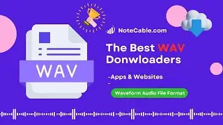 2025 Best WAV Downloaders [Apps & Websites] - Work for Spotify, Apple Music, YouTube Music, etc.
