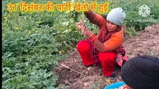 The Most Unique New Year Celebration You’ve Ever Seen