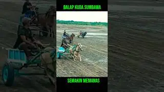 balap kuda sumbawa #balapankuda #pacuankuda #kudapacuindonesia