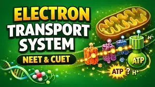 ETS#biology #science #science #pw #kota #education #allen #neet #cuet #aiims #mbbs #medical #doctors
