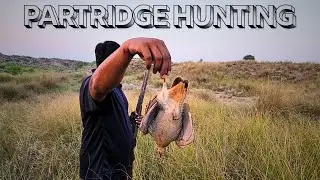 PARTRIDGE HUNTING | TEETAR KA SHIKAR | OUTDOOR COOKING  | CLEAN & COOK