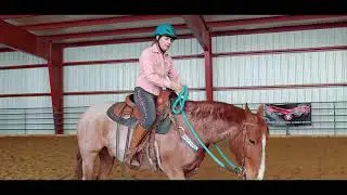 Daily Dose of Horsemanship Homework: Stopping Your Horse Without Using the Reins