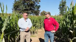 Fair Weather Growers&rsquo; Success with TIMAC AGRO