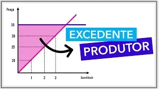 Entendendo o conceito de EXCEDENTE do PRODUTOR
