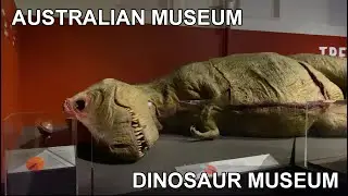 Australian Museum - Dinosaur Museum - 4K Video
