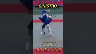 Sinistro Daido Juku Kudo #mma #sanda #boxechines