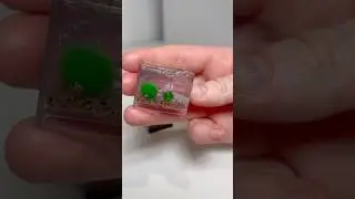 КРОШЕЧНЫЙ АКСОЛОТЛЬ! Сделай его животным Минивселенной